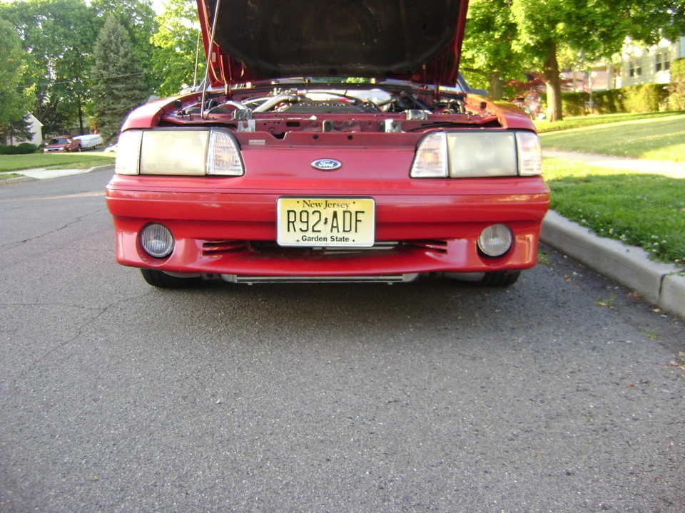 DSC02521.webp