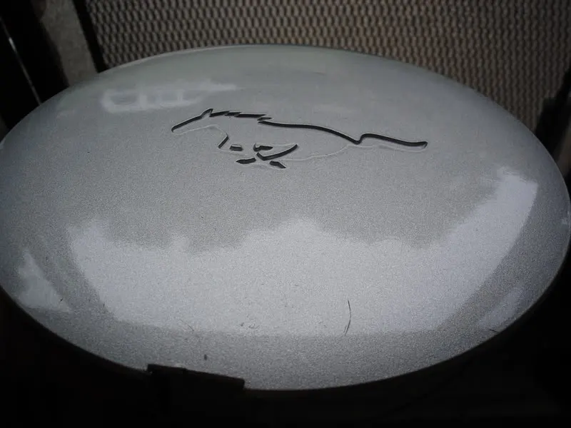 DSC02527.webp