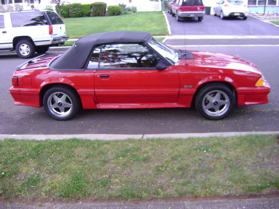 DSC02539.webp