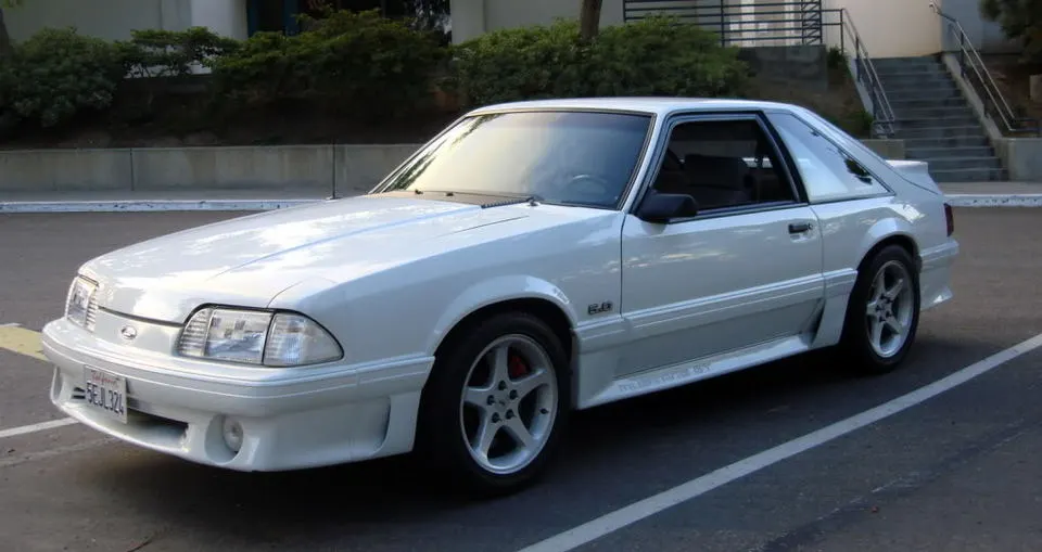 DSC02599.webp