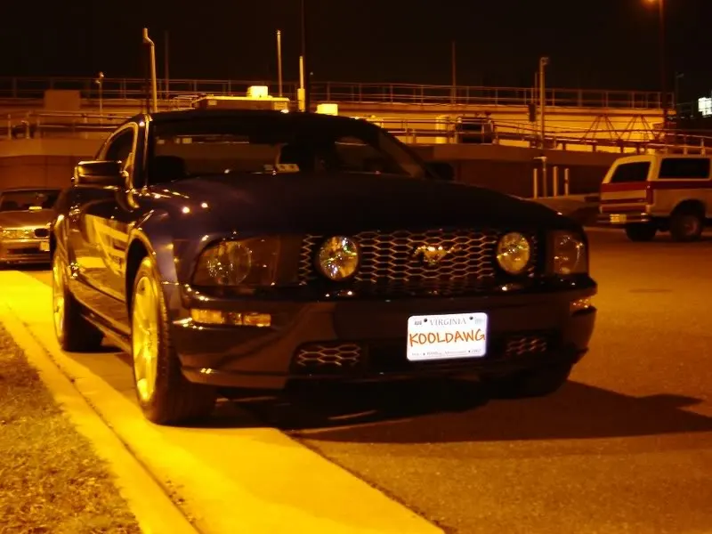 DSC02647-1.webp