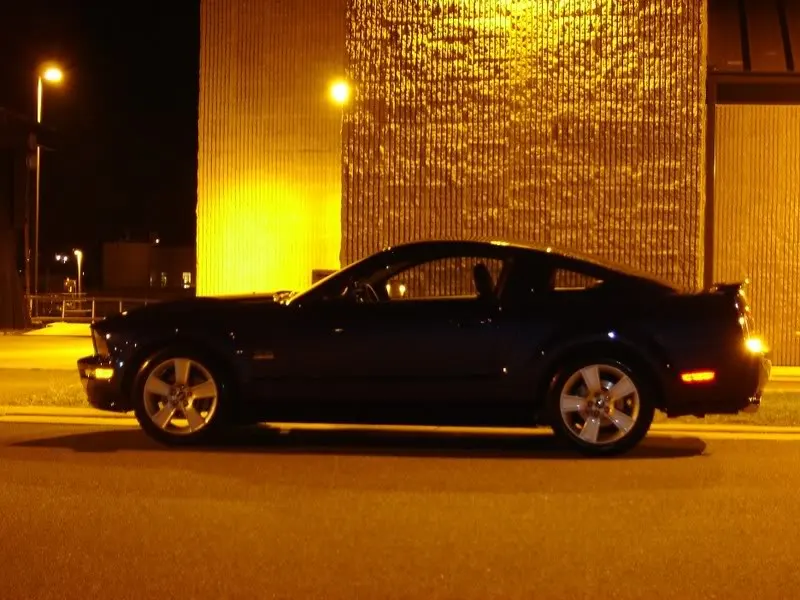 DSC02657-1.webp