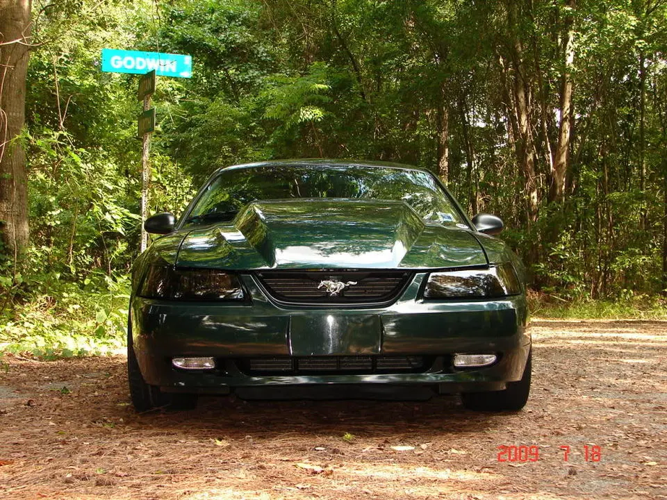 DSC02659.webp