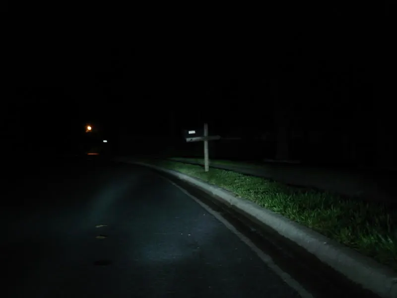 DSC02659.webp