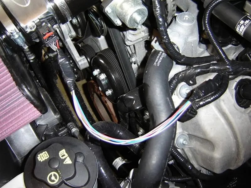 DSC02687.webp