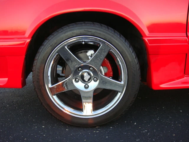 DSC02746.webp