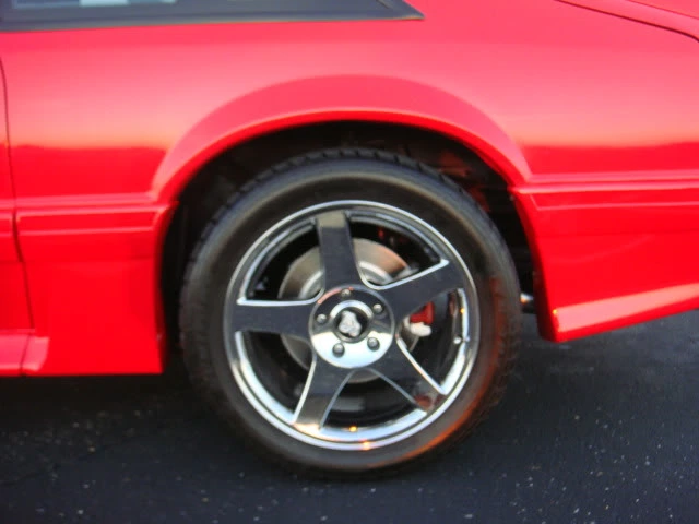 DSC02747.webp