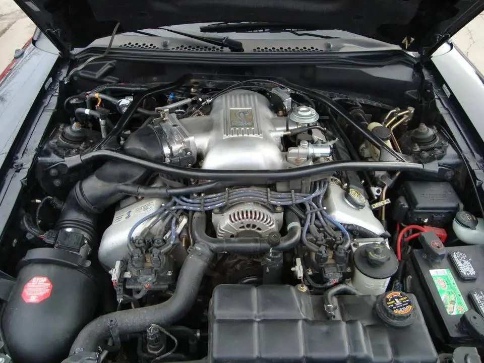 DSC02751_zpsb9640ce3.webp