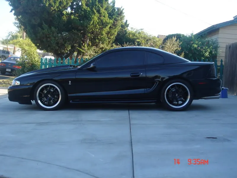 DSC02770.webp
