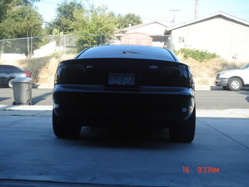 DSC02782.webp