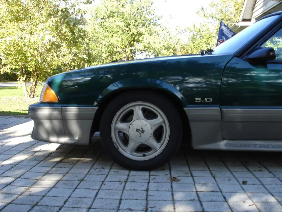 DSC02868.webp