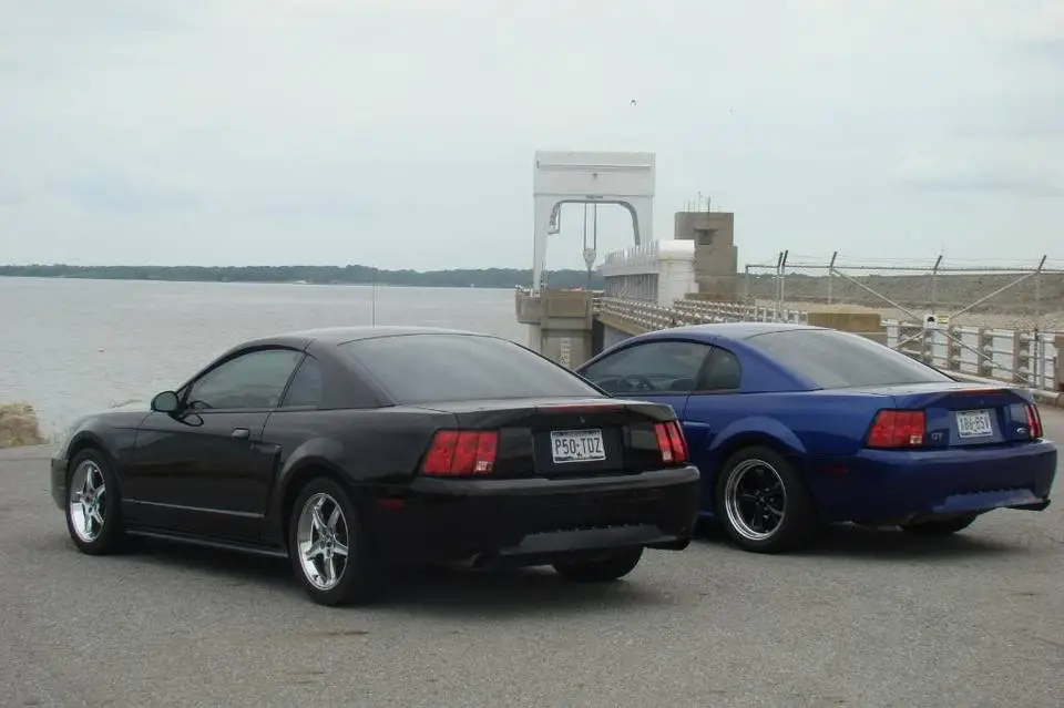 DSC03011.webp