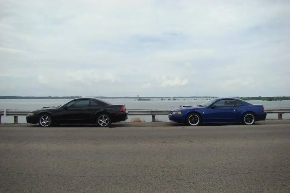 DSC03028.webp