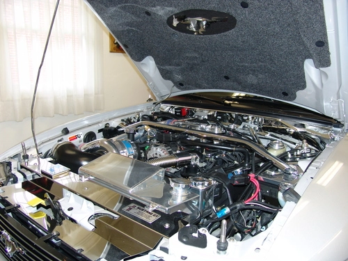 DSC03062-vi.webp