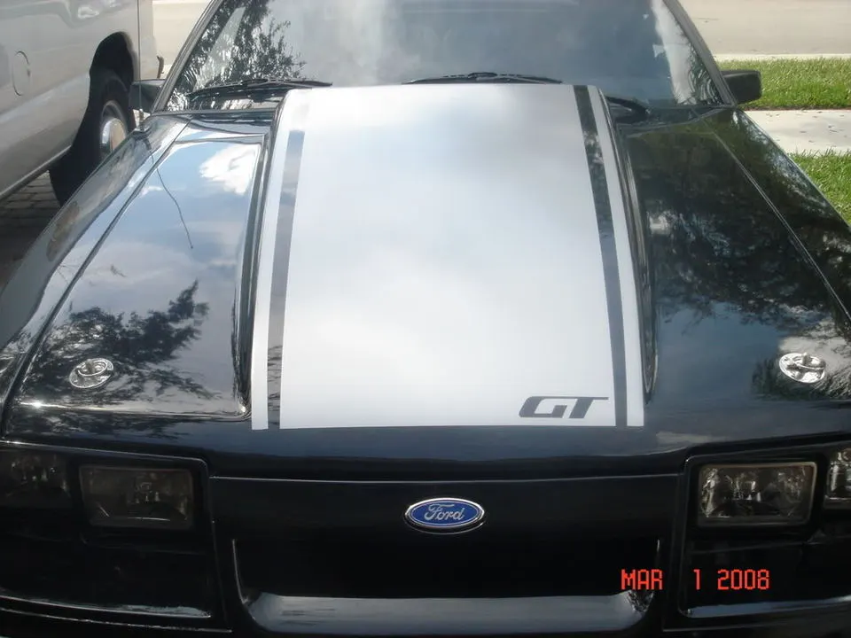 DSC03128.webp