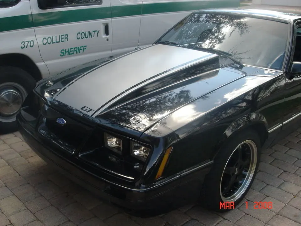DSC03129.webp