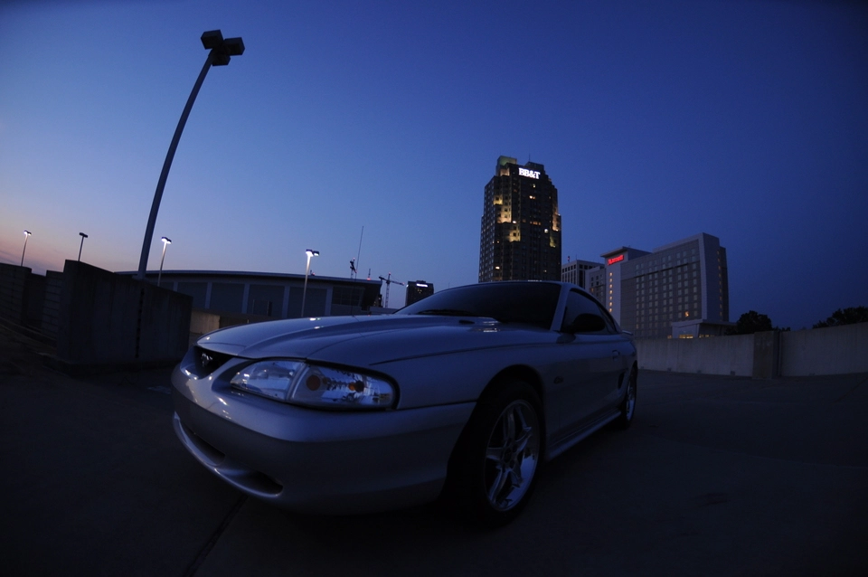 dsc0313ln.webp