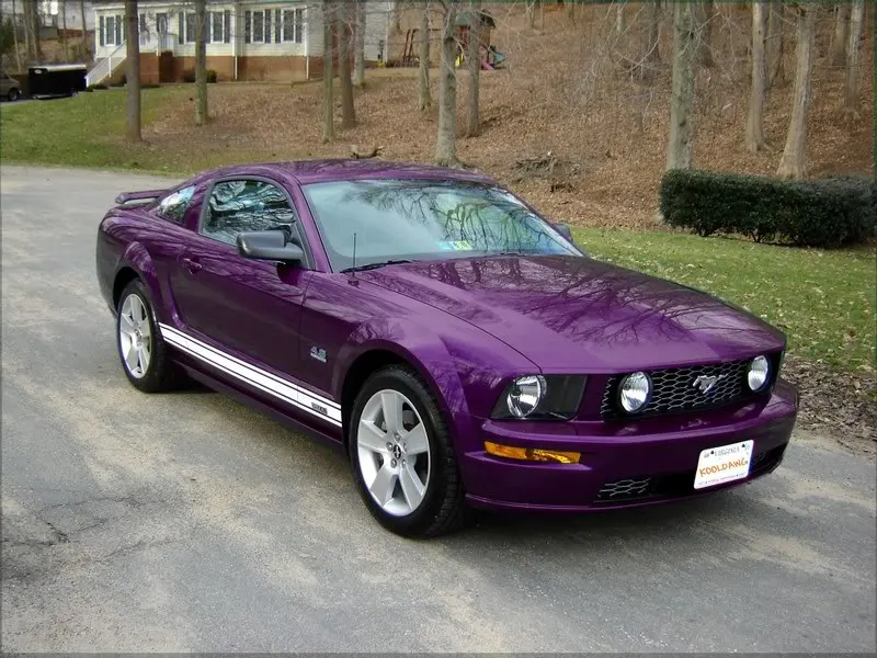 DSC03175-purplehue1.webp