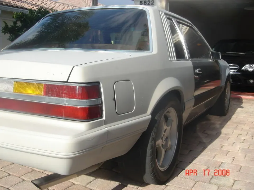 DSC03212.webp