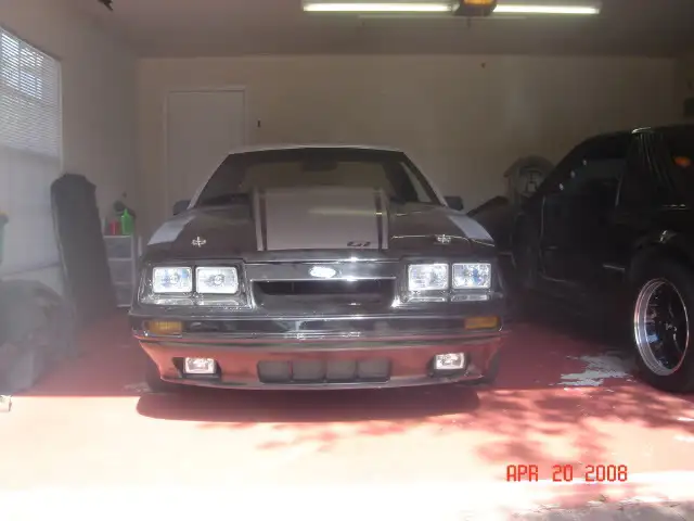 DSC03227.webp