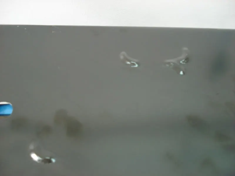 DSC03314.webp