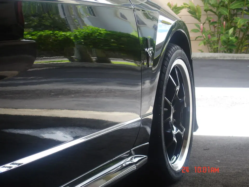DSC03522.webp
