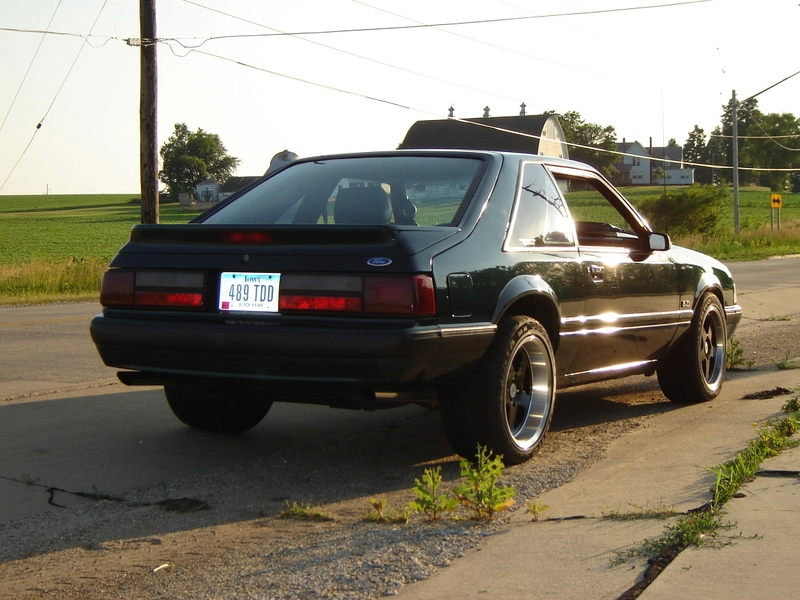 dsc03546od0.webp
