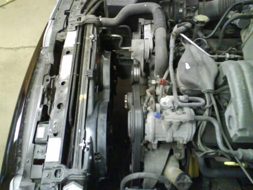 DSC03619.webp