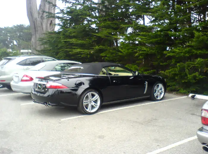 DSC03702.webp