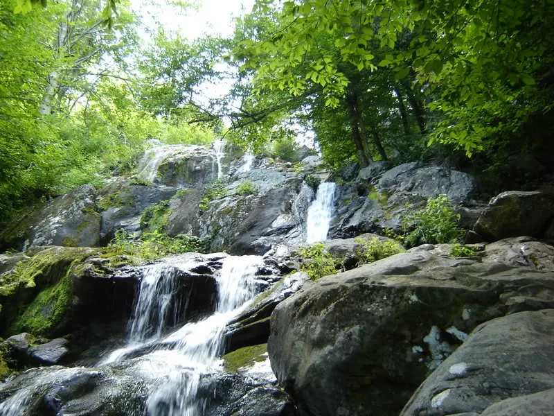 DSC03747.webp