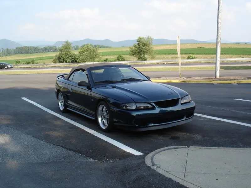 DSC03763.webp