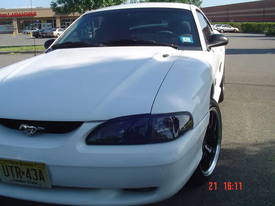 DSC03784.webp