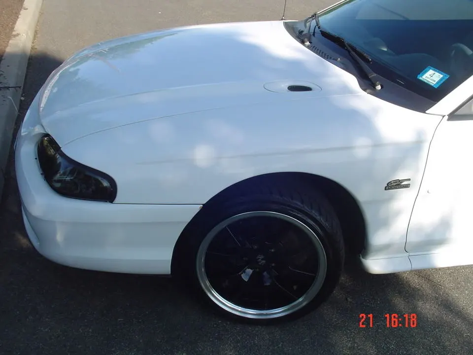 DSC03800.webp