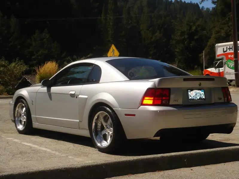 DSC03847-1.webp