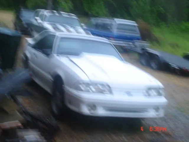 DSC03900.webp