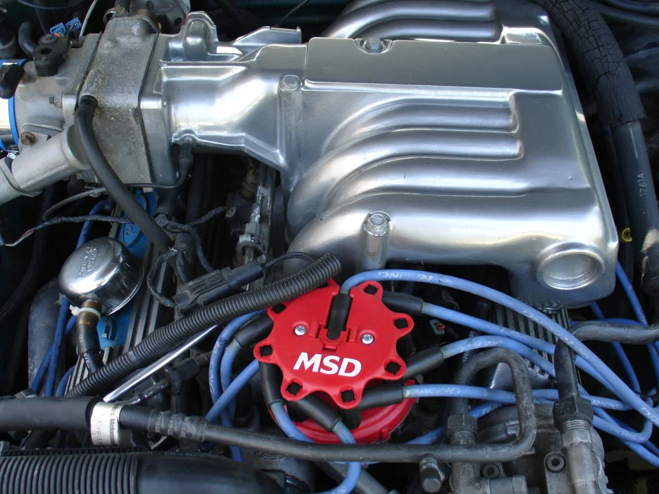 DSC04169.webp