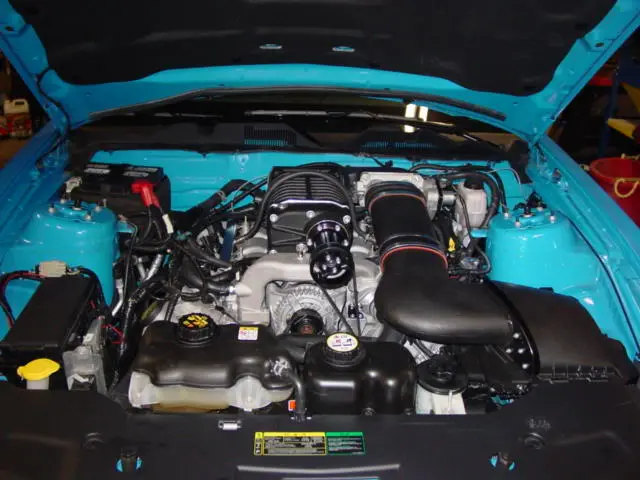 DSC04937.webp