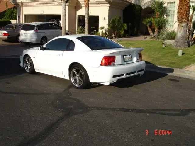 DSC05109.webp
