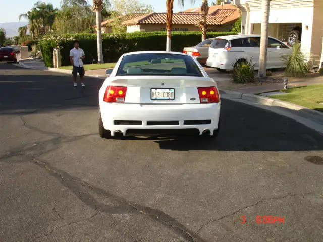 DSC05110.webp