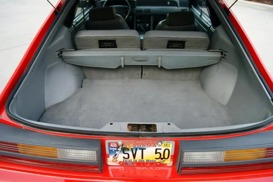 DSC05124_zps1713c797.webp