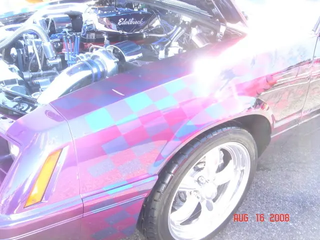 DSC05170.webp
