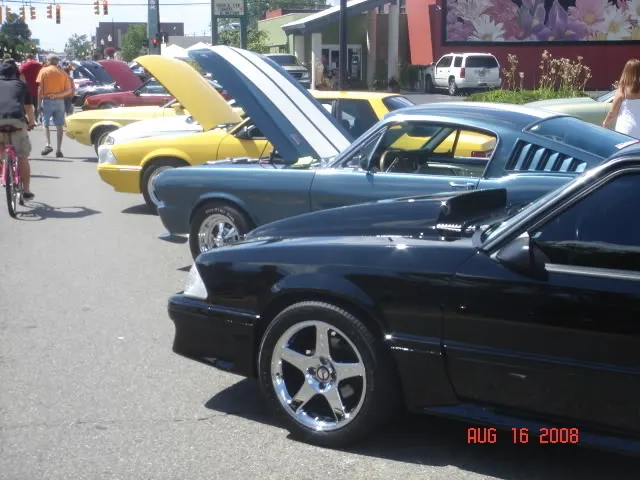 DSC05182.webp