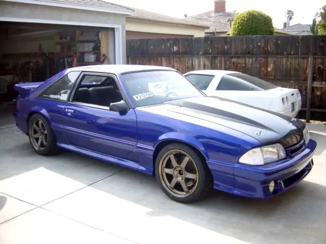 dsc05685.webp