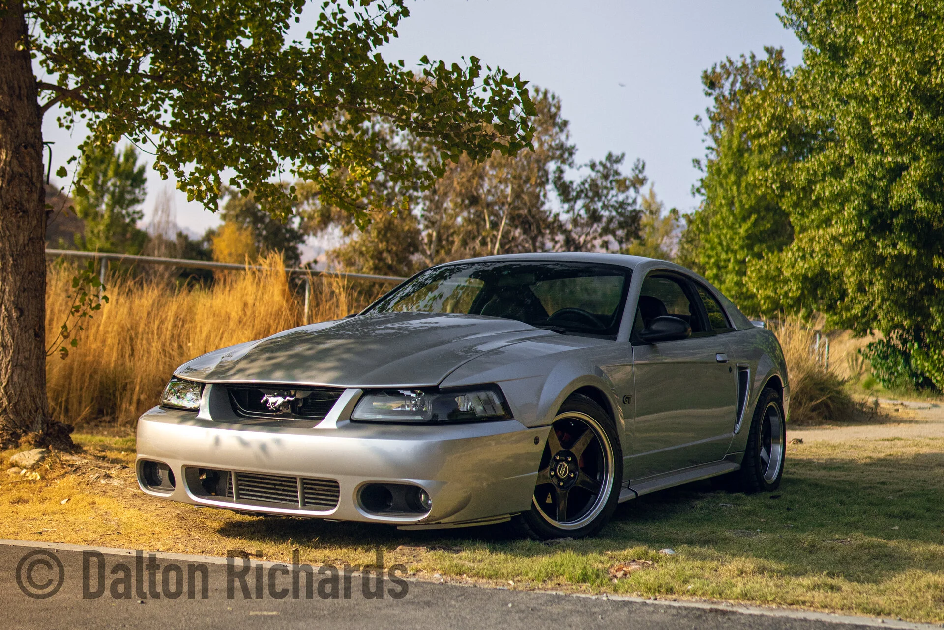 DSC05702.webp