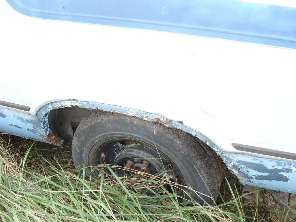 DSC06220.webp