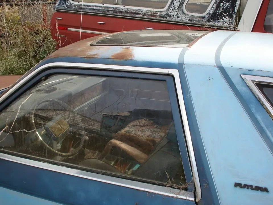 DSC06225.webp