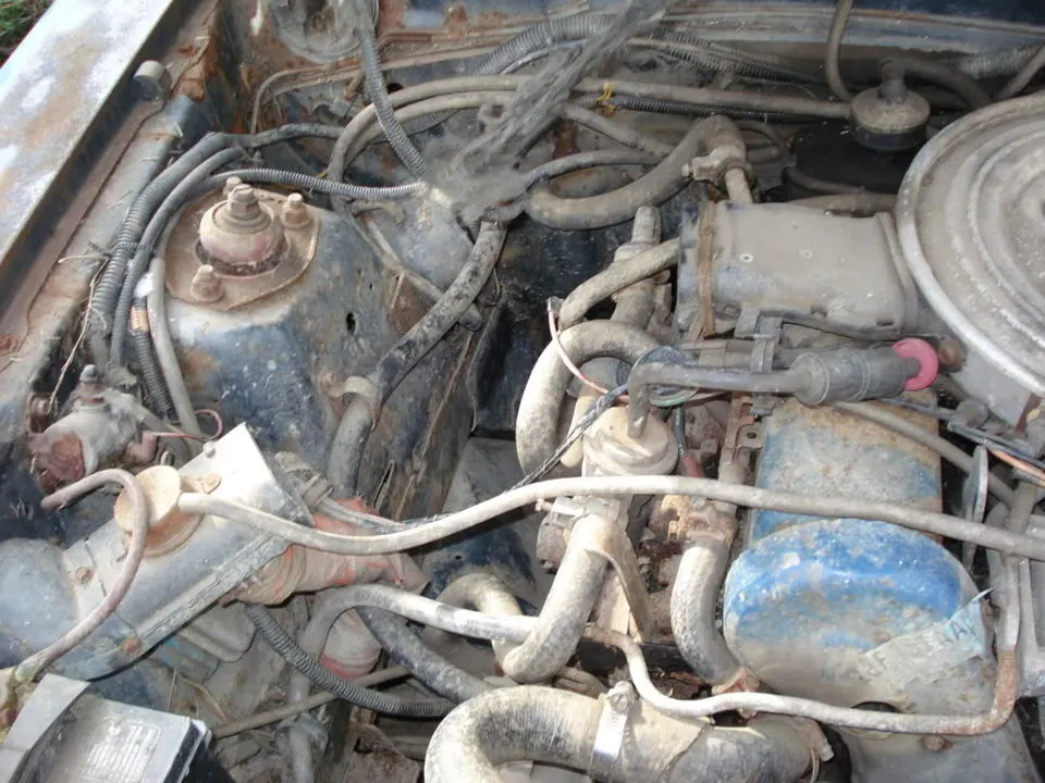 DSC06228.webp