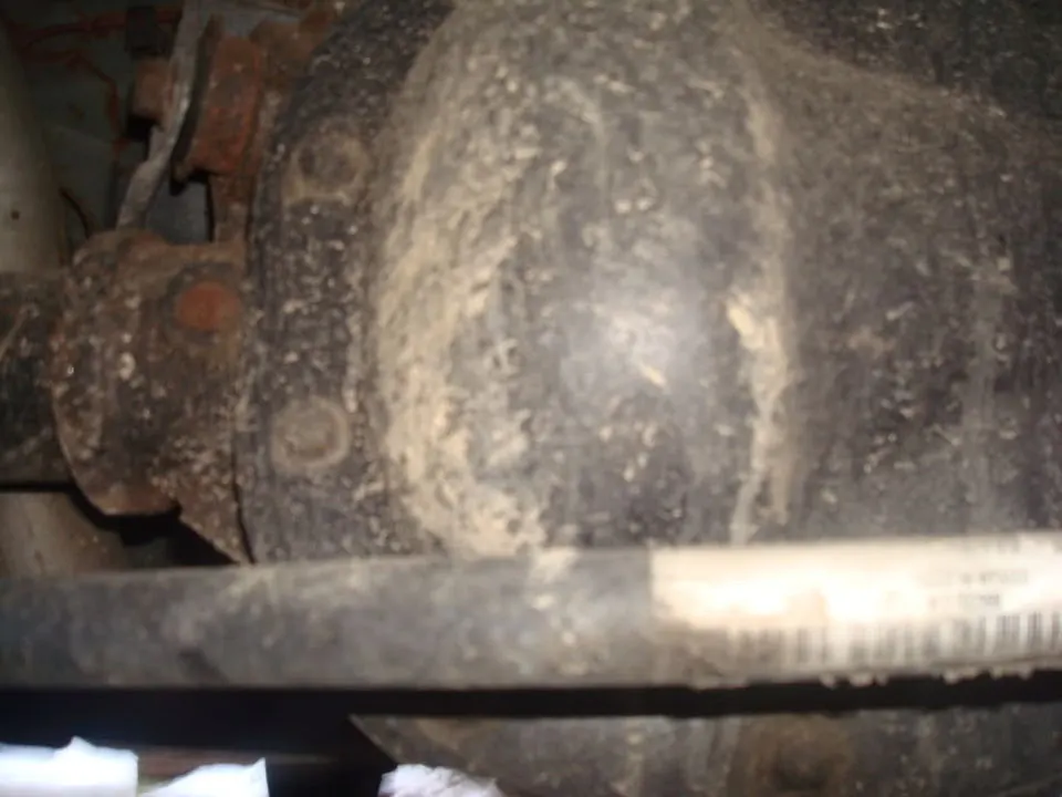 DSC06533.webp