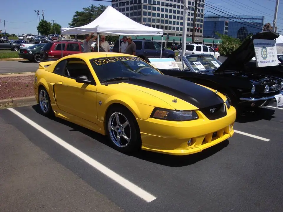 DSC07191.webp