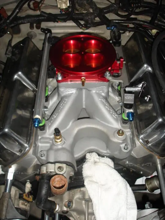 DSC08131.webp